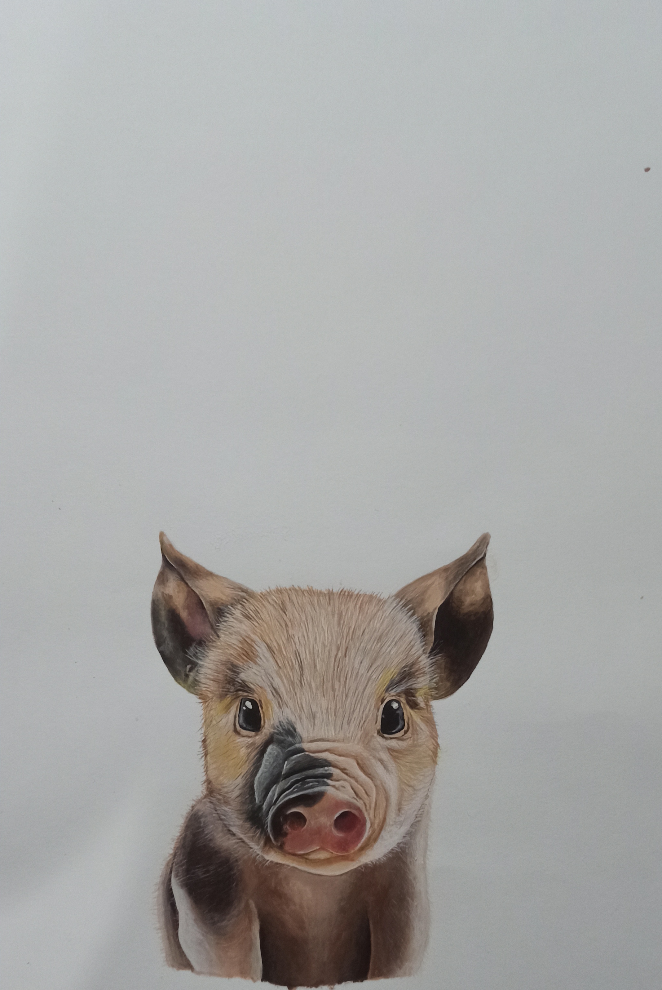 Pintura realista de animal en acrilico sobre lienzo - Madrigal Pet Art