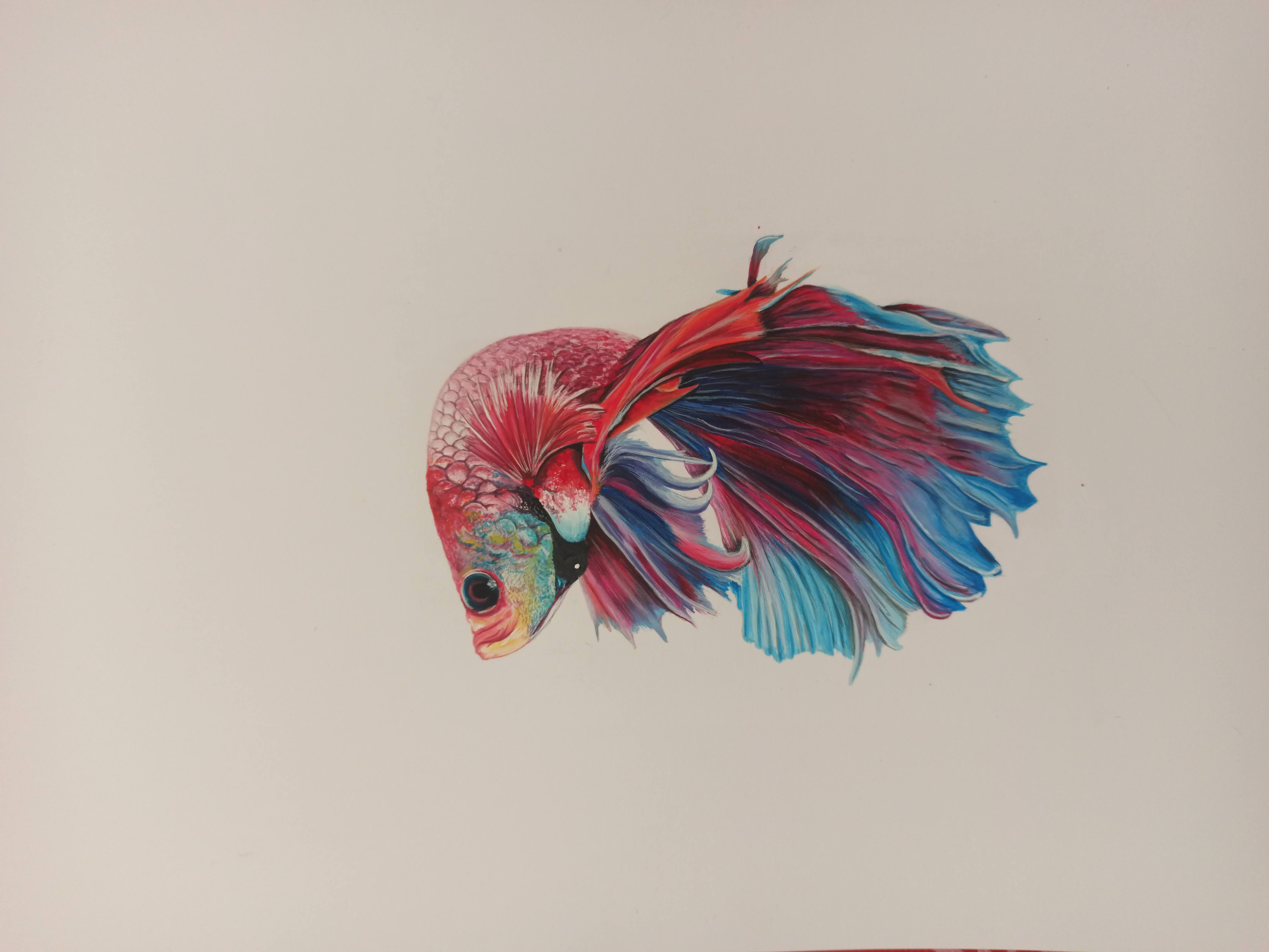 Pintura de animal por veterinaria artista - custom animal portrait