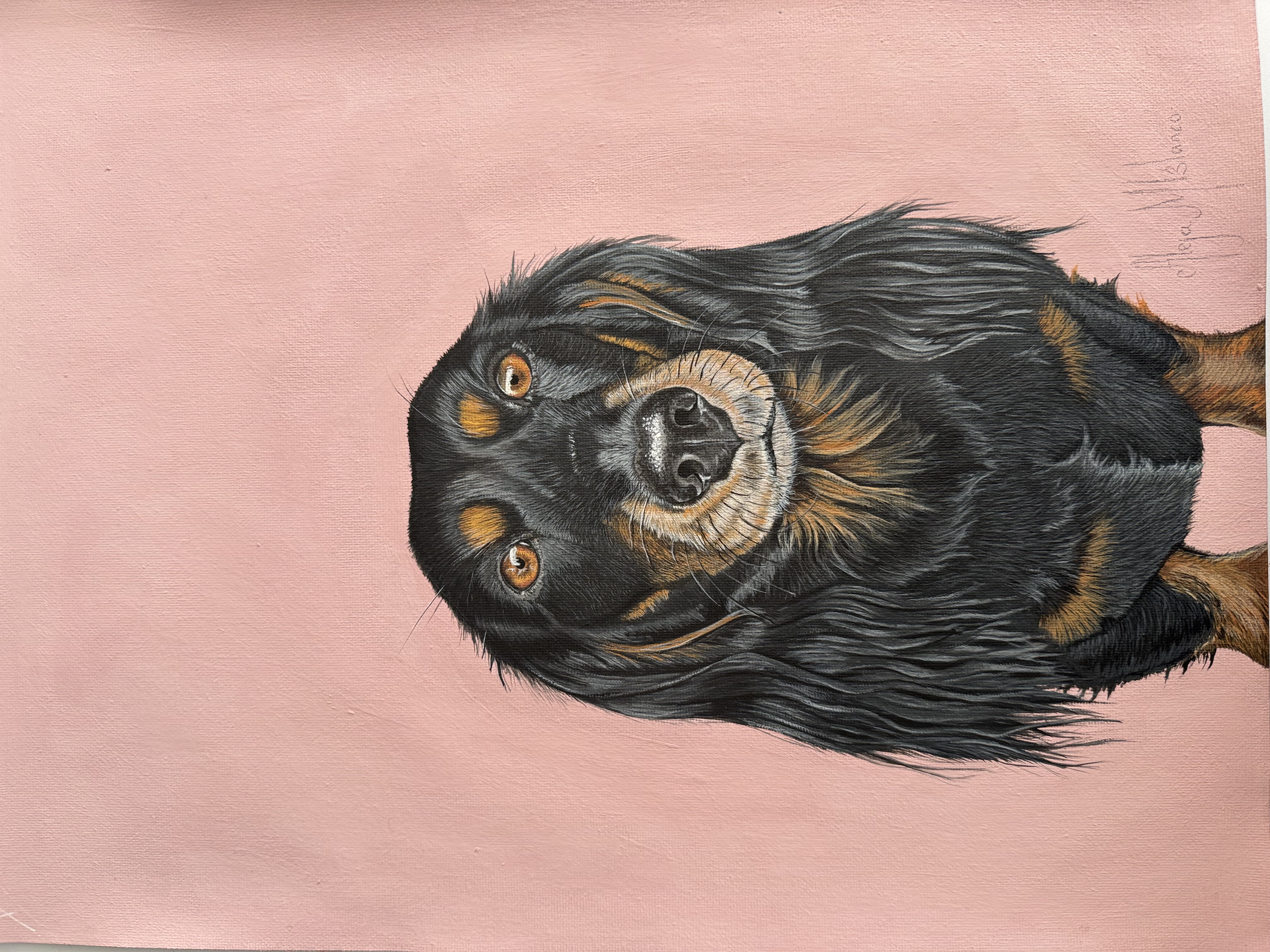 Retrato hiperrealista de perro en acrilico sobre lienzo - Madrigal Pet Art