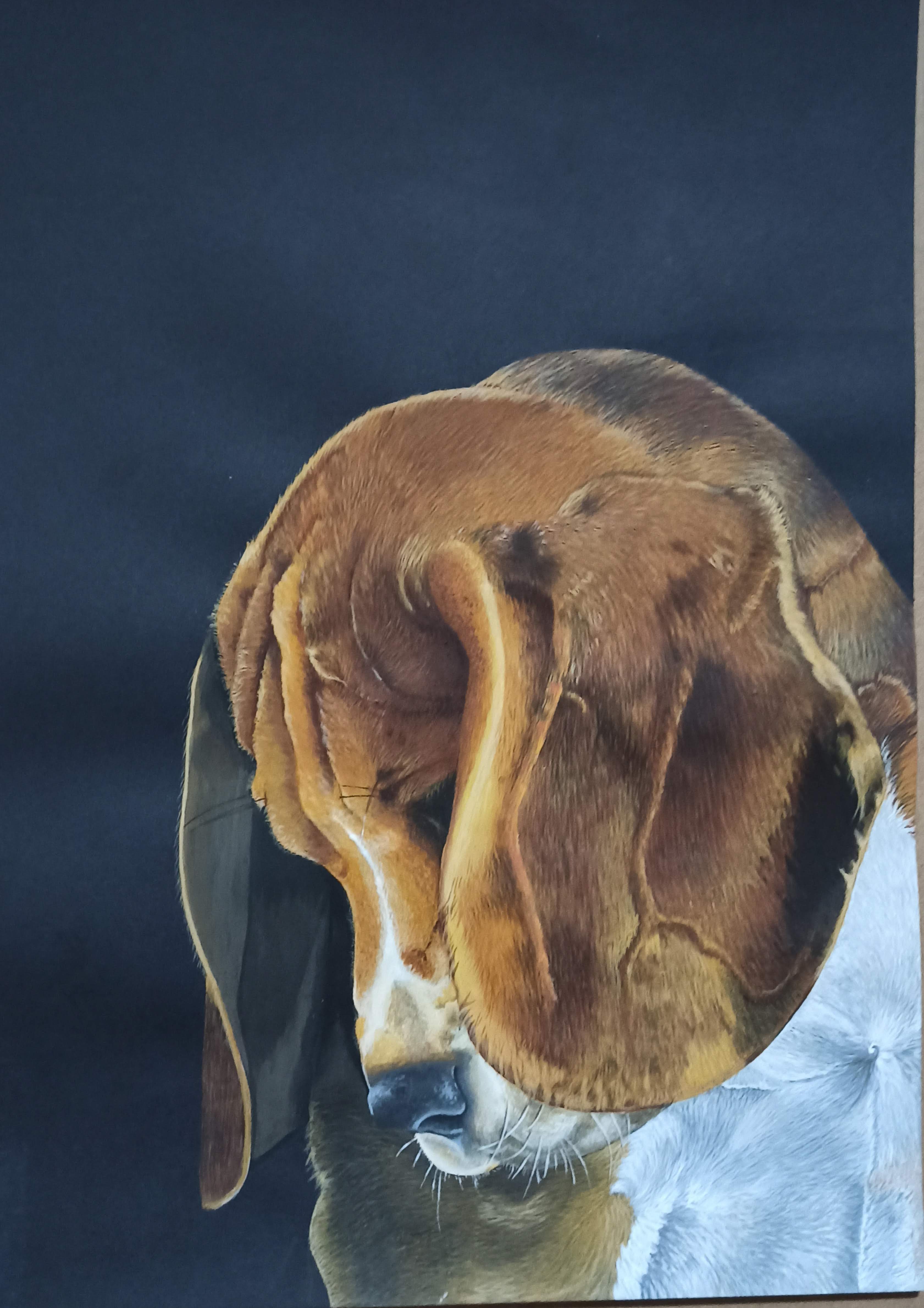 Retrato de mascota hiperrealista pintado por veterinaria artista