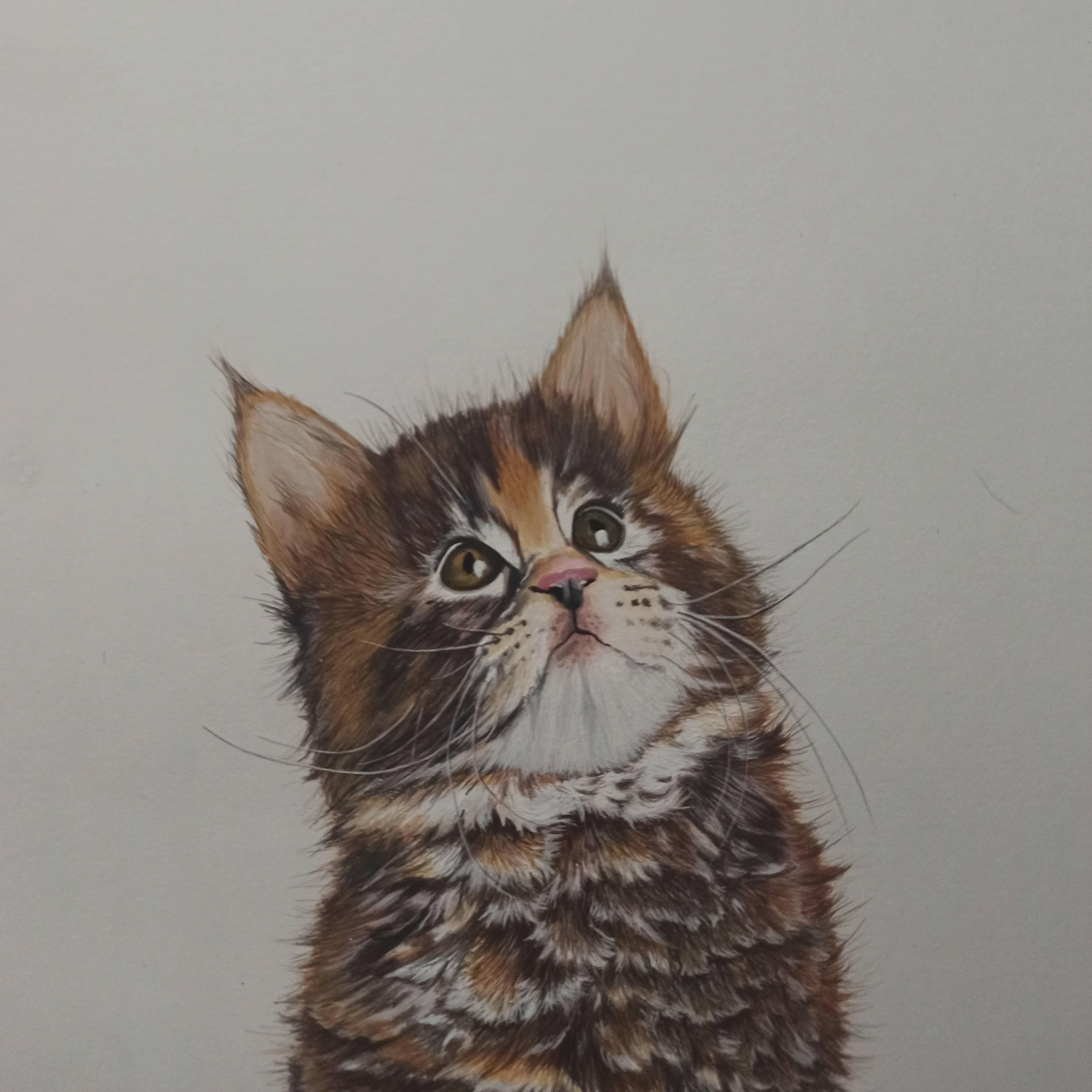 Custom pet portrait acrylic on canvas - Madrigal Pet Art